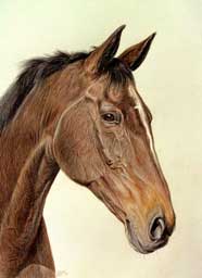 tableau quin cheval brun et feu.